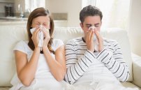 Заразна ли простуда или нет: можно ли заразиться от больного