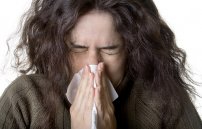 Как отличить простуду от аллергии: симптомы и отличия у взрослого
