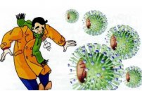 Разновидности гриппа: что такое «свиной» и «птичий» вид вируса