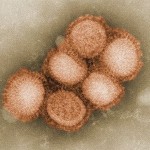  вирус h1 n1 